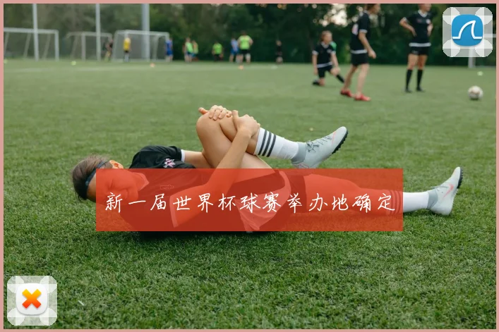 新一届世界杯球赛举办地确定