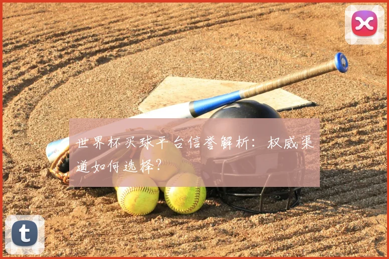 世界杯买球平台信誉解析:权威渠道如何选择?