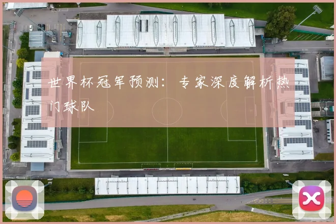 世界杯冠军预测:专家深度解析热门球队