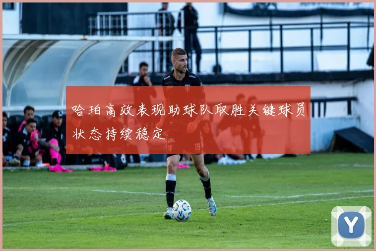 哈珀高效表现助球队取胜关键球员状态持续稳定
