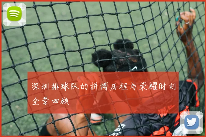 深圳排球队的拼搏历程与荣耀时刻全景回顾