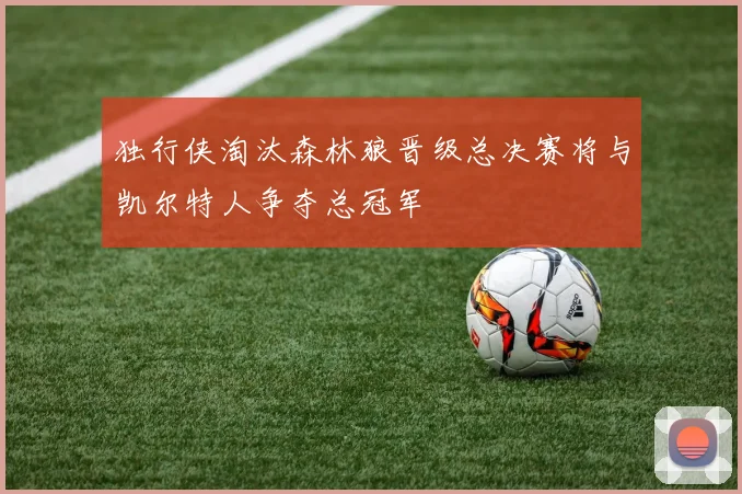 独行侠淘汰森林狼晋级总决赛将与凯尔特人争夺总冠军