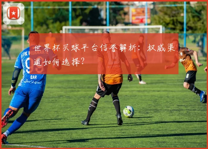 世界杯买球平台信誉解析:权威渠道如何选择?
