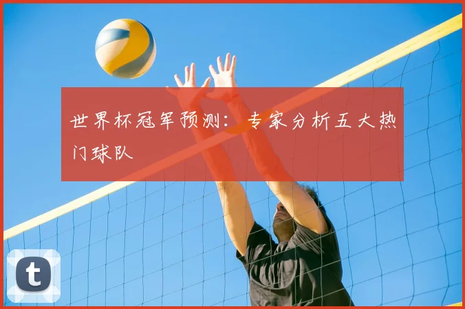 世界杯冠军预测：专家分析五大热门球队