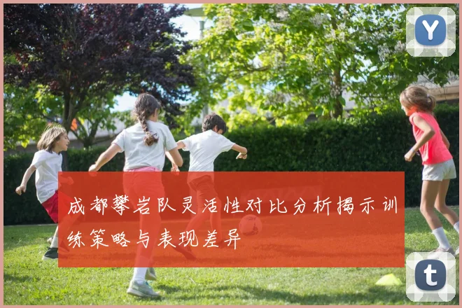 成都攀岩队灵活性对比分析揭示训练策略与表现差异
