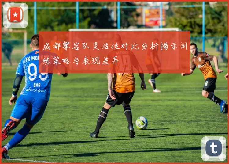成都攀岩队灵活性对比分析揭示训练策略与表现差异