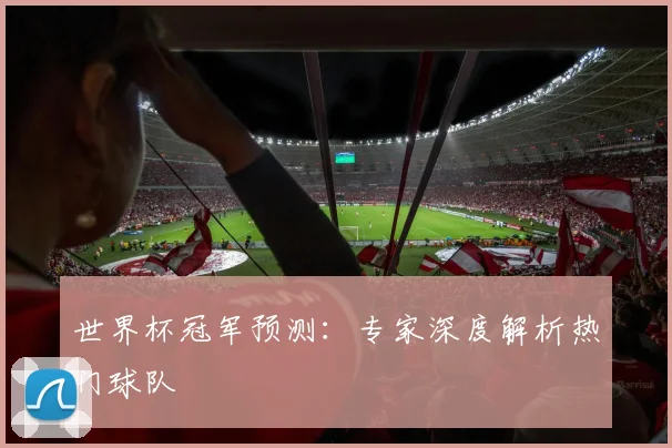 世界杯冠军预测：专家深度解析热门球队