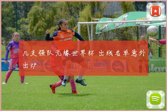 几支强队无缘世界杯 出线名单意外出炉