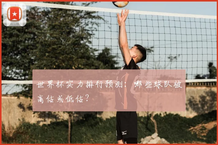 世界杯实力排行预测:哪些球队被高估或低估?