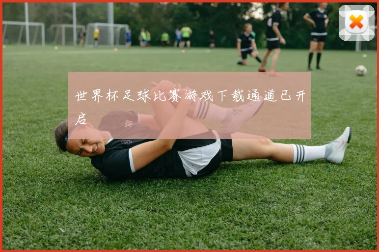 世界杯足球比赛游戏下载通道已开启