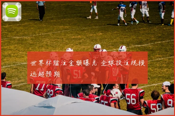 世界杯赌注金额曝光 全球投注规模远超预期